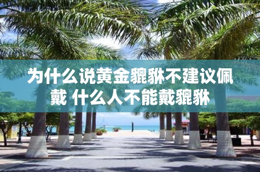 为什么说黄金貔貅不建议佩戴 什么人不能戴貔貅