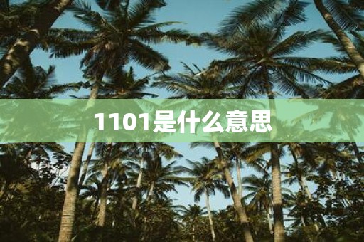 1101是什么意思