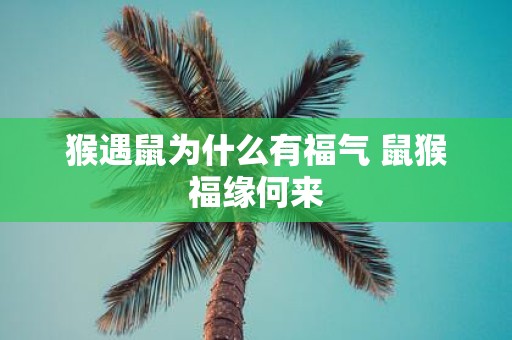 猴遇鼠为什么有福气 鼠猴福缘何来