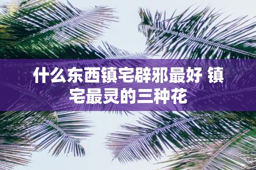 什么东西镇宅辟邪最好 镇宅最灵的三种花