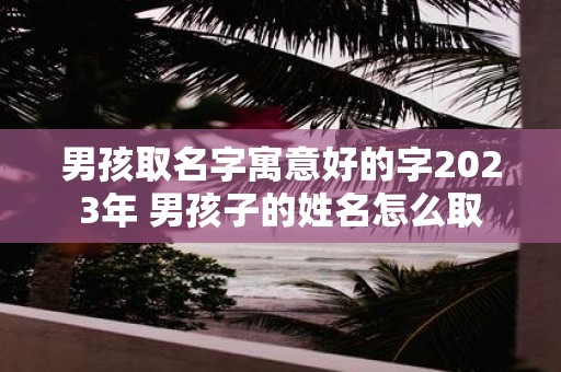 男孩取名字寓意好的字2025年 男孩子的姓名怎么取