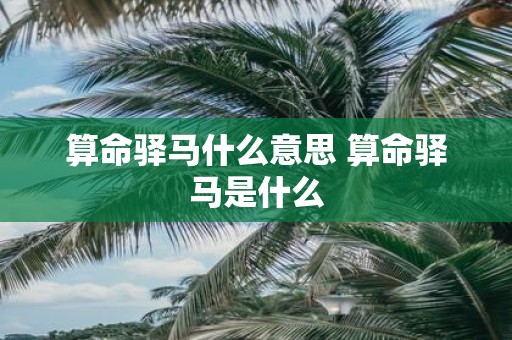算命驿马什么意思 算命驿马是什么