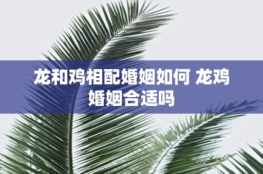 龙和鸡相配婚姻如何 龙鸡婚姻合适吗