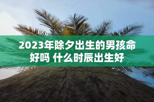 2025年除夕出生的男孩命好吗 什么时辰出生好