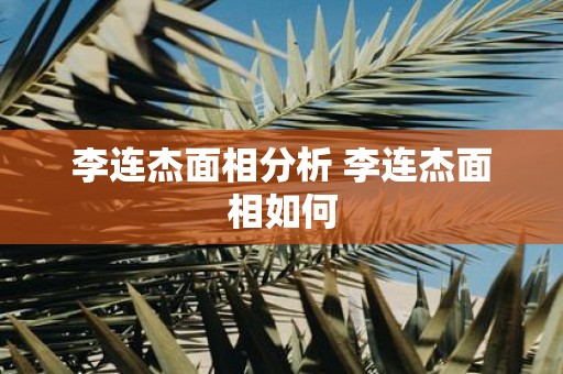 李连杰面相分析 李连杰面相如何