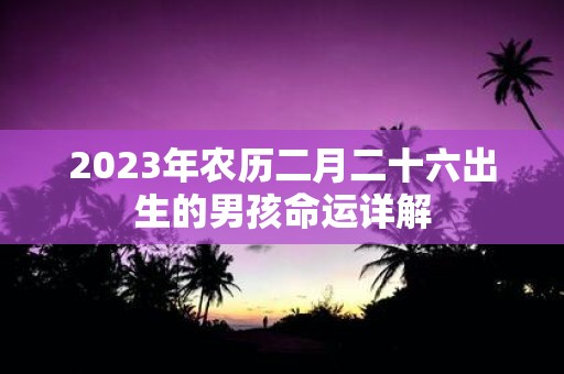 2025年农历二月二十六出生的男孩命运详解