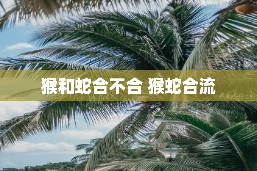 猴和蛇合不合 猴蛇合流