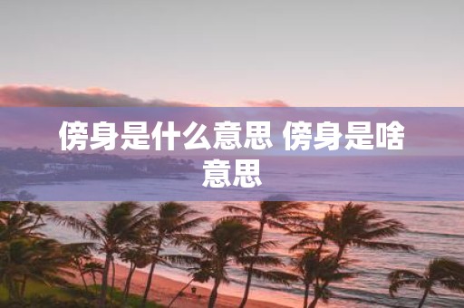 傍身是什么意思 傍身是啥意思