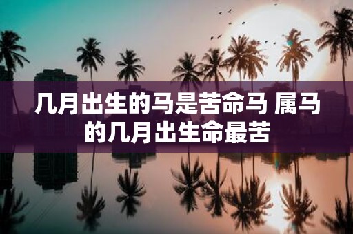 几月出生的马是苦命马 属马的几月出生命最苦