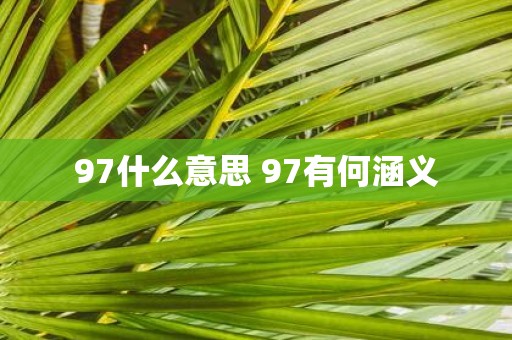 97什么意思 97有何涵义