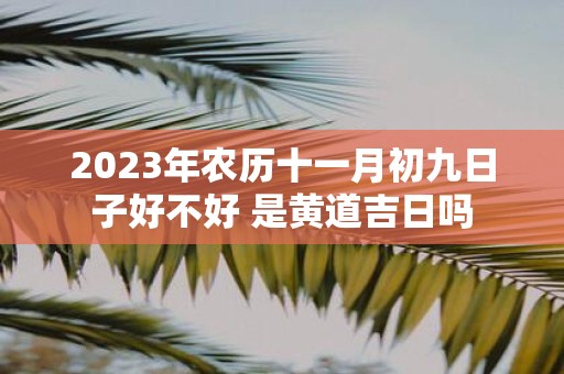2025年农历十一月初九日子好不好 是黄道吉日吗