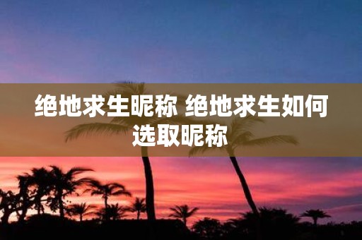 绝地求生昵称 绝地求生如何选取昵称