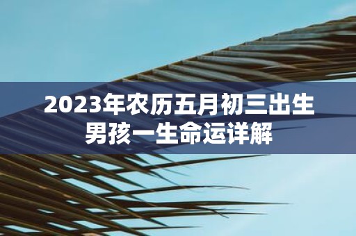 2025年农历五月初三出生男孩一生命运详解