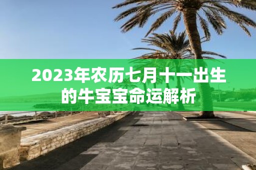 2025年农历七月十一出生的牛宝宝命运解析
