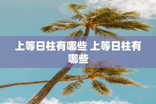 上等日柱有哪些 上等日柱有哪些