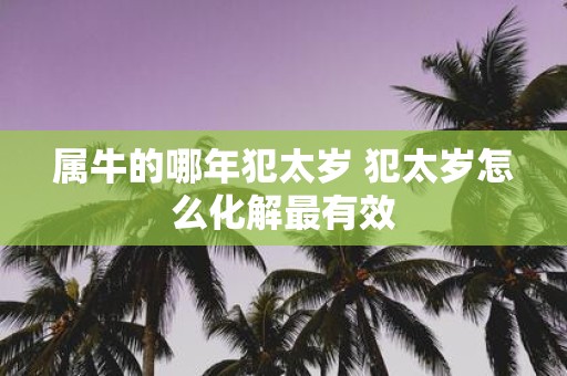 属牛的哪年犯太岁 犯太岁怎么化解最有效