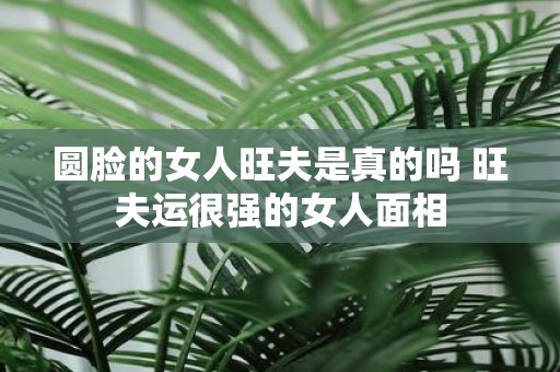圆脸的女人旺夫是真的吗 旺夫运很强的女人面相