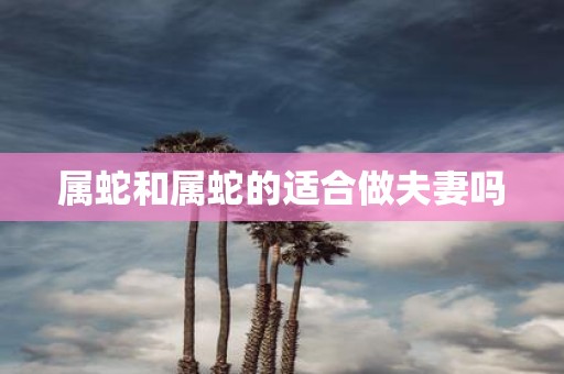 属蛇和属蛇的适合做夫妻吗
