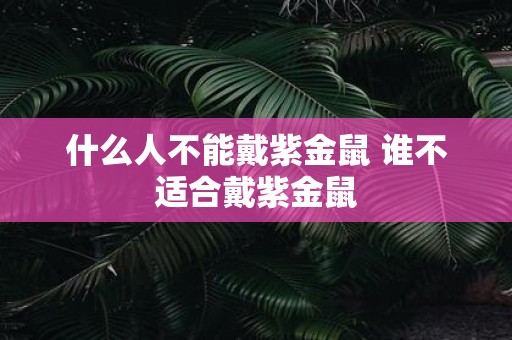 什么人不能戴紫金鼠 谁不适合戴紫金鼠