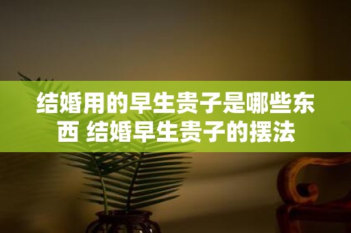 结婚用的早生贵子是哪些东西 结婚早生贵子的摆法