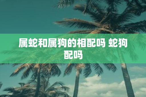 属蛇和属狗的相配吗 蛇狗配吗
