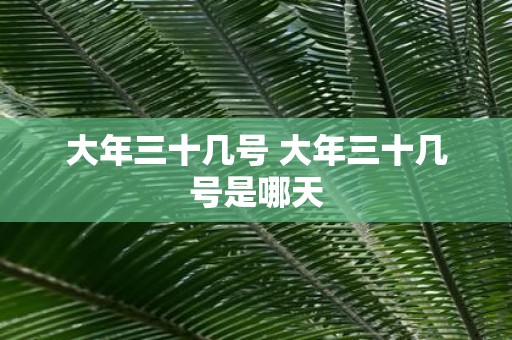 大年三十几号 大年三十几号是哪天