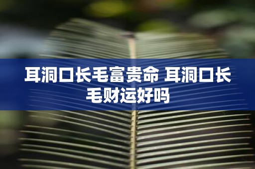 耳洞口长毛富贵命 耳洞口长毛财运好吗
