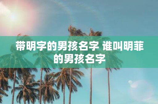 带明字的男孩名字 谁叫明菲的男孩名字