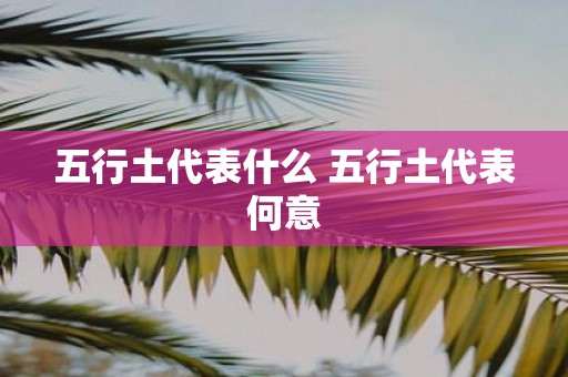 五行土代表什么 五行土代表何意