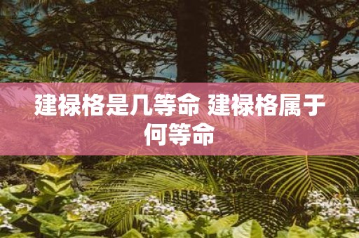 建禄格是几等命 建禄格属于何等命