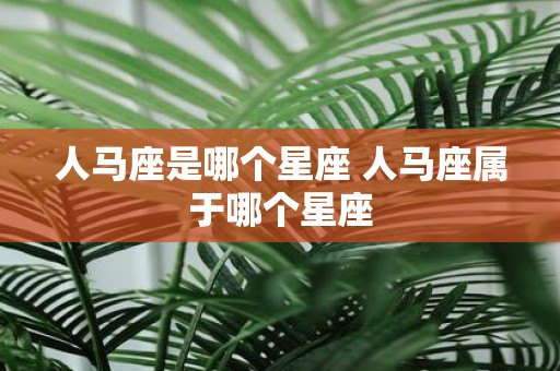 人马座是哪个星座 人马座属于哪个星座