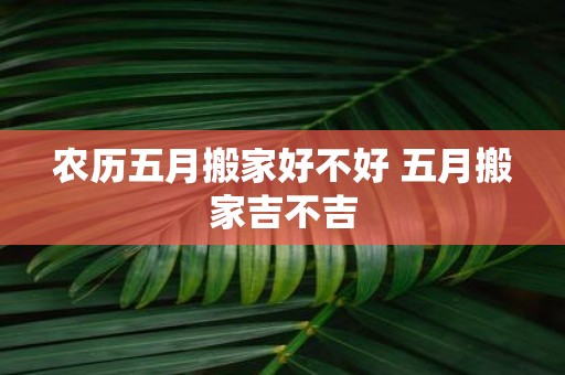 农历五月搬家好不好 五月搬家吉不吉