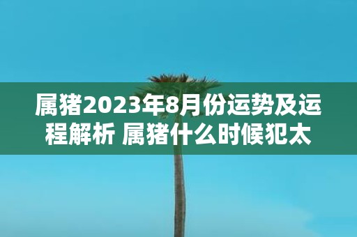 属猪2025年8月份运势及运程解析 属猪什么时候犯太岁
