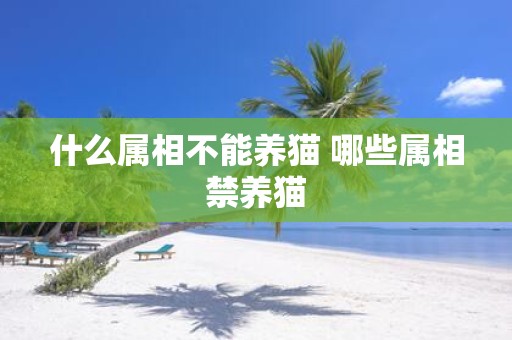 什么属相不能养猫 哪些属相禁养猫