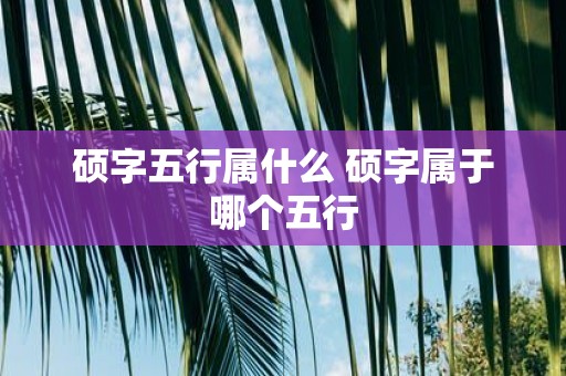 硕字五行属什么 硕字属于哪个五行