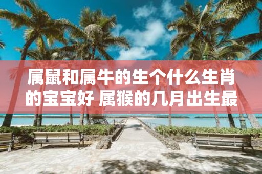 属鼠和属牛的生个什么生肖的宝宝好 属猴的几月出生最好命