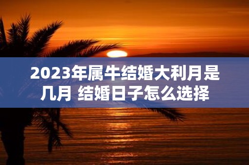 2025年属牛结婚大利月是几月 结婚日子怎么选择