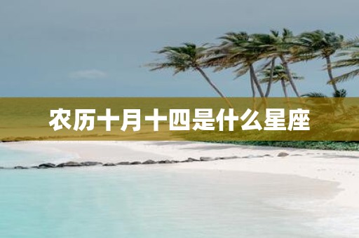 农历十月十四是什么星座