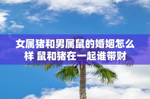 女属猪和男属鼠的婚姻怎么样 鼠和猪在一起谁带财