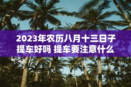 2025年农历八月十三日子提车好吗 提车要注意什么