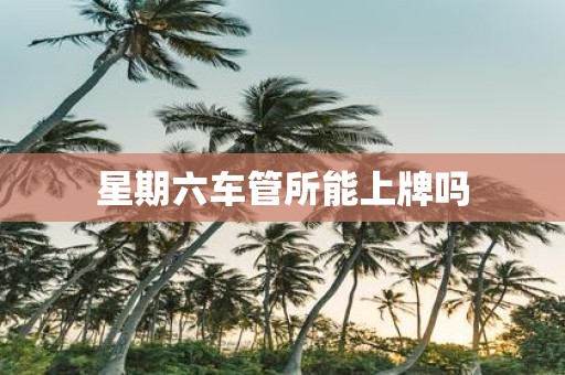 星期六车管所能上牌吗