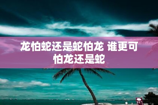龙怕蛇还是蛇怕龙 谁更可怕龙还是蛇