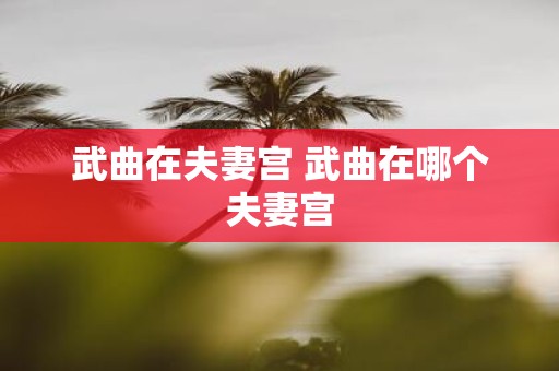 武曲在夫妻宫 武曲在哪个夫妻宫