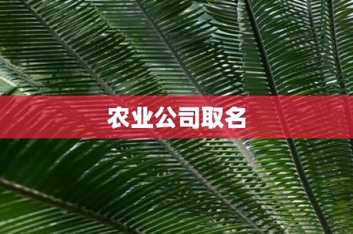 农业公司取名