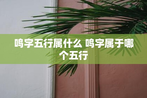 鸣字五行属什么 鸣字属于哪个五行