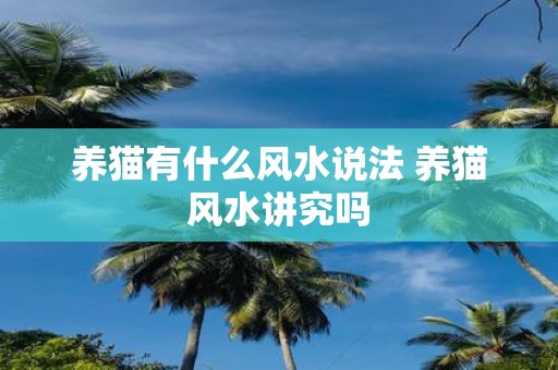 养猫有什么风水说法 养猫风水讲究吗