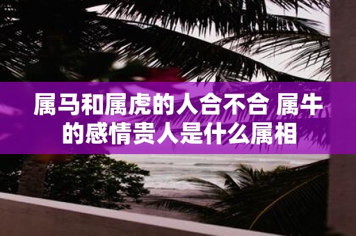 属马和属虎的人合不合 属牛的感情贵人是什么属相