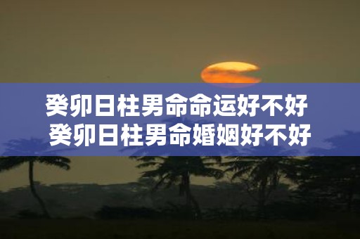 癸卯日柱男命命运好不好 癸卯日柱男命婚姻好不好