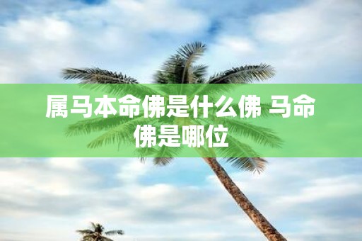 属马本命佛是什么佛 马命佛是哪位