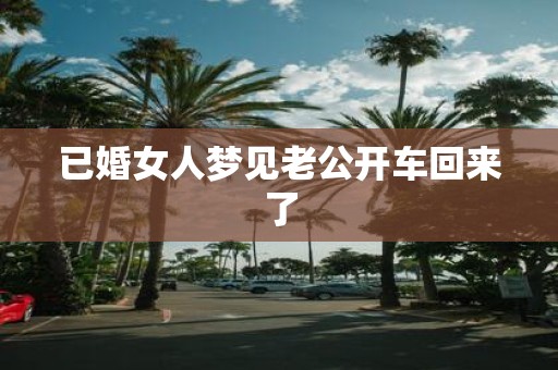 已婚女人梦见老公开车回来了